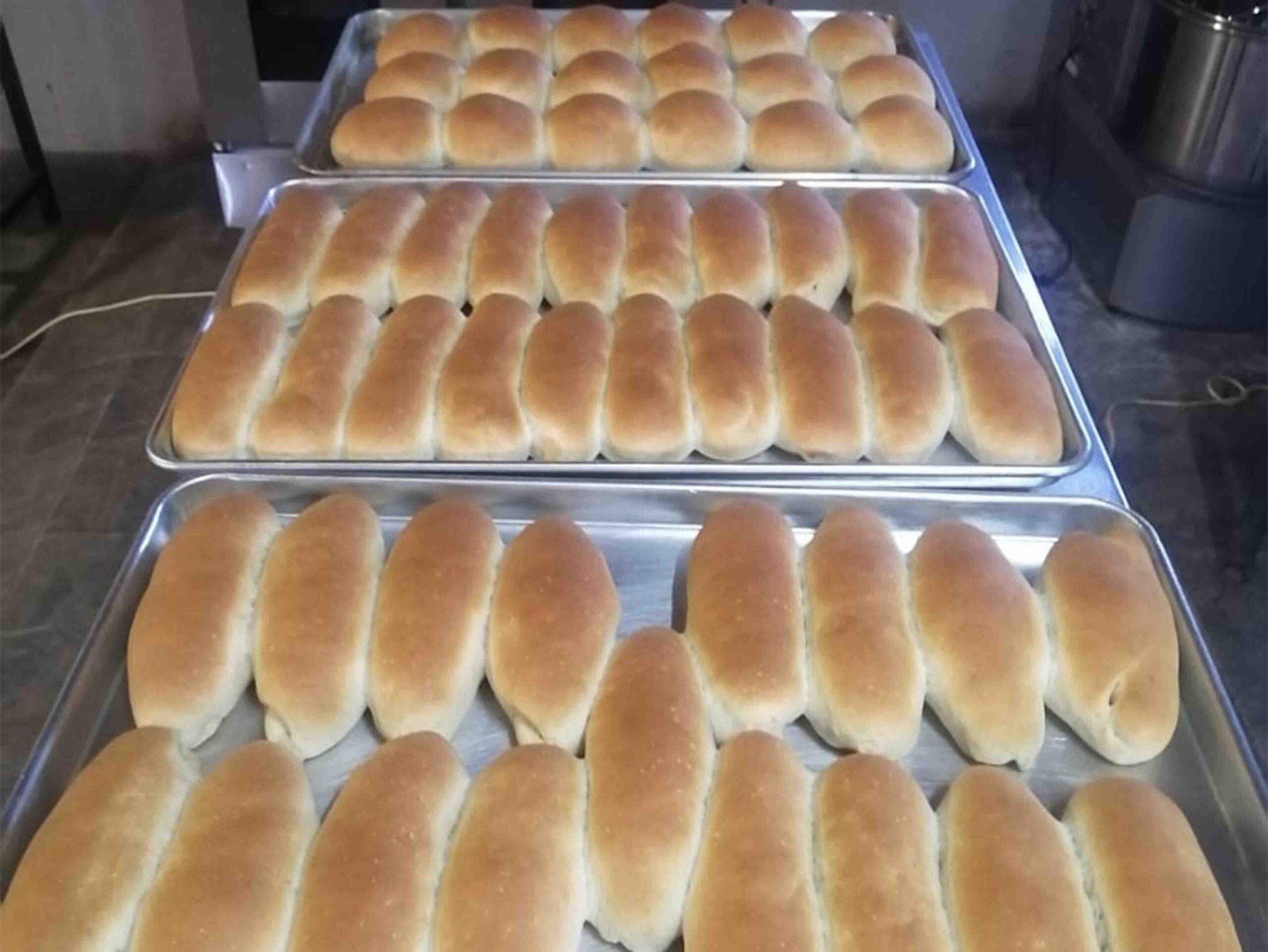 Eco Bakery Enterprise and Supplier Development programme3